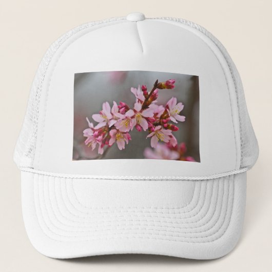 Rosa gegen eine Graue Himmelsblüte Truckerkappe (Vorderseite)