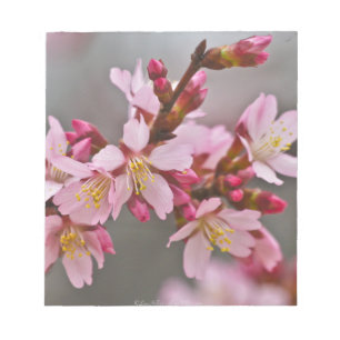 Rosa gegen einen grauen Himmel Japanische Kirschbl Notizblock