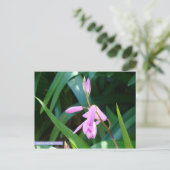 Rosa gegen Grün Postkarte (Stehend Vorderseite)