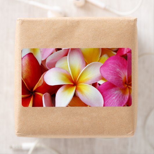 Rosa gelbe Blume (Insitu)