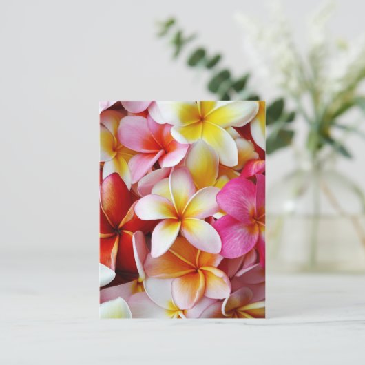 Rosa gelbe Blume Postkarte (Stehend Vorderseite)