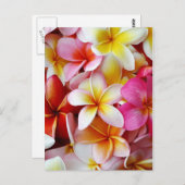 Rosa gelbe Blume Postkarte (Vorne/Hinten)