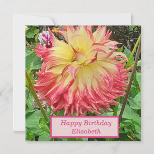 Rosa & gelbe Dahlia Flat Geburtstagskarte Karte