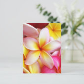 Rosa Gelbe Lila Plumeria Frangipani Blume Postkarte (Stehend Vorderseite)