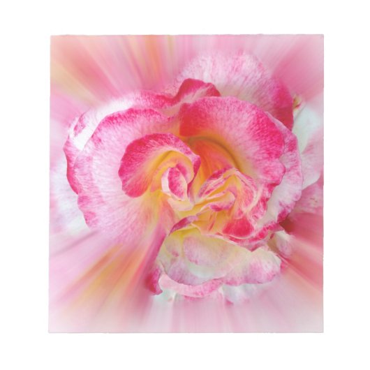 Rosa gelbe Rose Notizblock (Vorderseite)