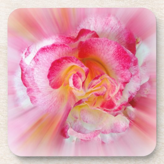 Rosa gelbe Rose Untersetzer (Vorderseite)