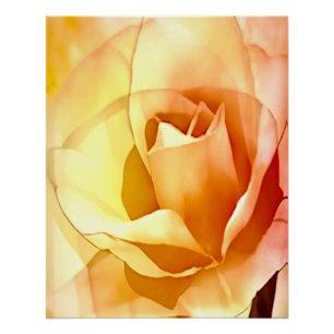 Rosa Gelbe Rose Wasserfarbe Stil Glossen Poster