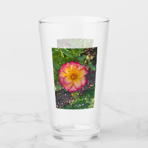 Rosa-gelbe Rosen-Glas Glas