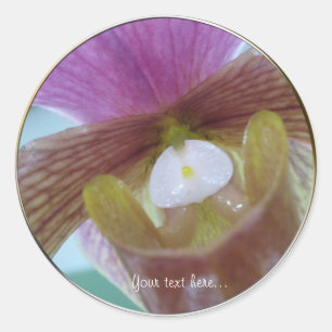 Rosa Gelbe Slipper Orchid-Hochzeitsticker Runder Aufkleber