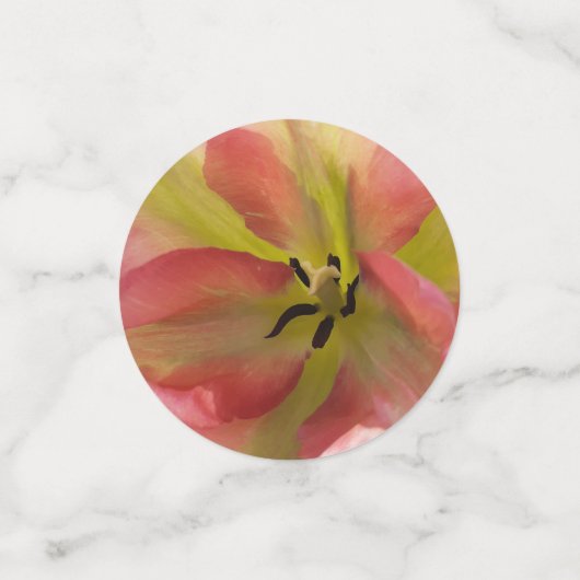 Rosa-gelbe Tulip Konfetti (Klein Vorderseite)