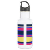 Rosa, gelbe und blaue Streifen Edelstahlflasche (Rückseite)