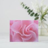 Rosa Gemeine Kamelie Postkarte (Stehend Vorderseite)