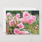 Rosa Gene Boerner: Flat Card (Vorderseite)