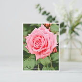 Rosa Gene Boerner Postkarte (Stehend Vorderseite)