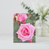 Rosa Gene Boerner [Postkarte] Postkarte (Stehend Vorderseite)