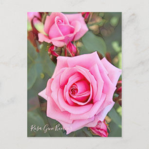 Rosa Gene Boerner [Postkarte] Postkarte