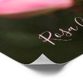 Rosa Gene Boerner [Value Poster Paper] (Ecke)