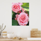 Rosa Gene Boerner [Value Poster Paper] (Küche)