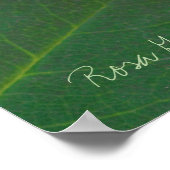 Rosa Gene Boerner [Value Poster Paper] (Ecke)
