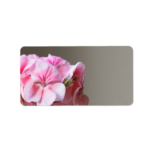 Rosa Geranie-Blume Adressaufkleber (Vorne)