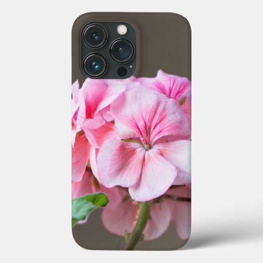 Rosa Geranie-Blume Case-Mate iPhone Hülle (Rückseite)