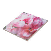 Rosa Geranie-Blume Fliese (Seite)