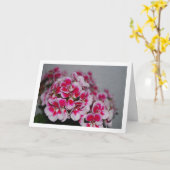 Rosa Geranium Blume, Blumenportrait Karte (Gelbe Blume)