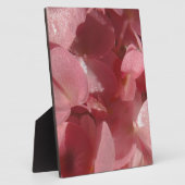 Rosa Geranium: fast massiv, hellrosa Fotoplatte (Seite)