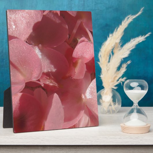 Rosa Geranium: fast massiv, hellrosa Fotoplatte (Seite)