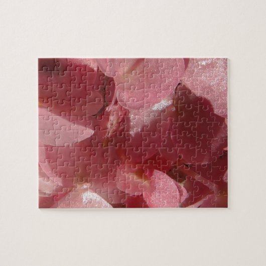 Rosa Geranium: fast massiv, hellrosa Puzzle (Horizontal)