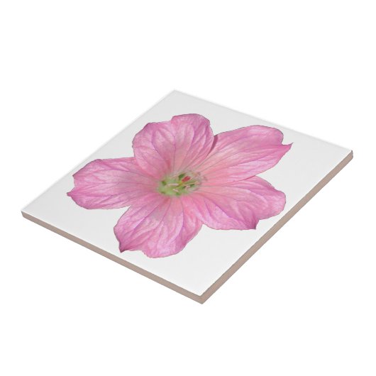 Rosa Geranium Fliese (Seite)