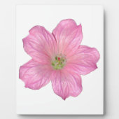 Rosa Geranium Fotoplatte (Vorderseite)