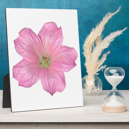 Rosa Geranium Fotoplatte (Seite)