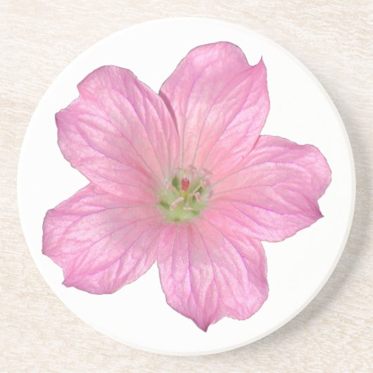 Rosa Geranium Getränkeuntersetzer (Vorne)