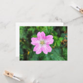 Rosa Geranium Karte (Vorderseite/Rückseite Beispiel)