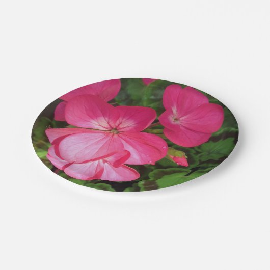 Rosa Geranpapierplatte Pappteller (Schrägansicht)