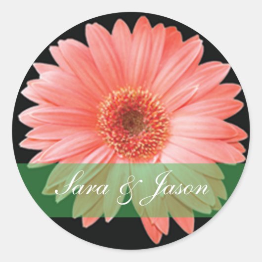 Rosa Gerber Daisy auf schwarzem Hochzeitsticker Runder Aufkleber (Vorderseite)