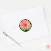 Rosa Gerber Daisy auf schwarzem Hochzeitsticker Runder Aufkleber (Umschlag)