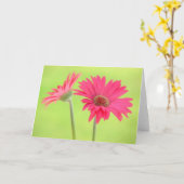Rosa Gerber Gänseblümchen auf grüner Gruß-Karte Karte (Gelbe Blume)