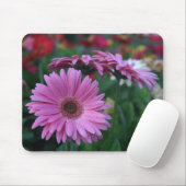 Rosa Gerber Gänseblümchen bunte mousepad (Mit Mouse)