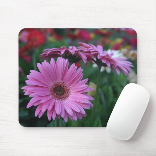Rosa Gerber Gänseblümchen bunte mousepad (Mit Mouse)