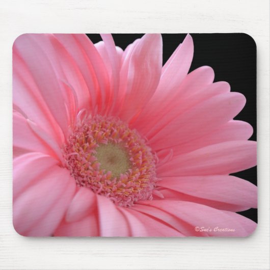 Rosa Gerber Gänseblümchen Mousepad (Vorne)