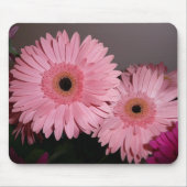 Rosa Gerber Gänseblümchen Mousepad (Vorne)