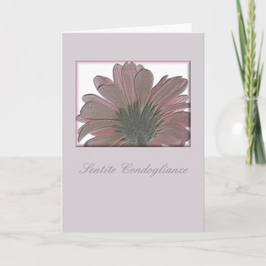 Rosa Gerbera Beileid Italia Karte (Vorderseite)