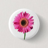 Rosa Gerbera Blume Button / Abzeichen (Vorderseite)