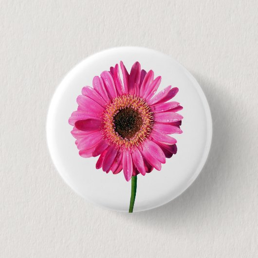 Rosa Gerbera Blume Button / Abzeichen (Vorderseite)