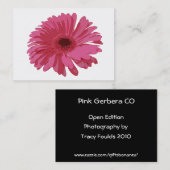 Rosa Gerbera Co ACEO Visitenkarte (Vorne/Hinten)