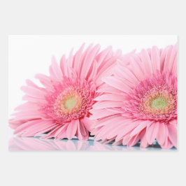 Rosa Gerbera Daisies Elegante Fotografie Geschenkpapier Set