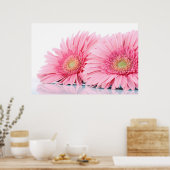 Rosa Gerbera Daisies Elegante Fotografie Poster (Küche)