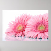 Rosa Gerbera Daisies Elegante Fotografie Poster (Vorne)